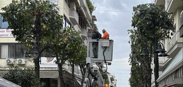 Αγρίνιο: Κλαδεύονται τα δένδρα στο κέντρο της πόλης (εικόνες)