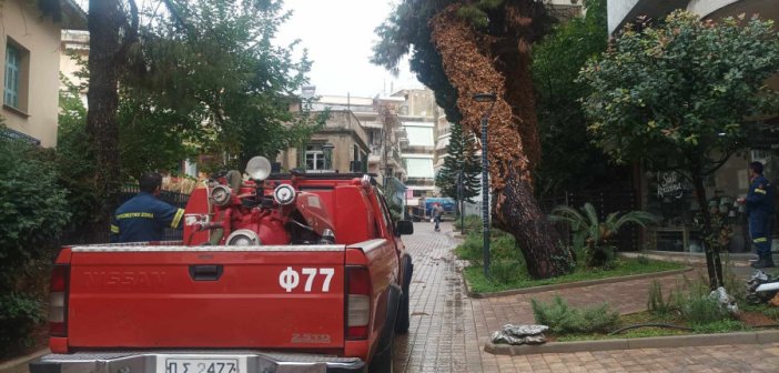Αγρίνιο: Πτώσεις δέντρων στις οδούς Μανδηλαρά και Μαβίλη (εικόνες)