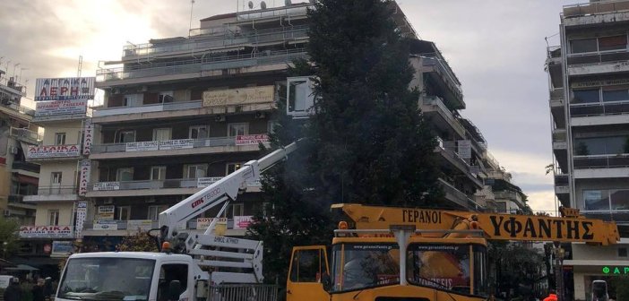 Αγρίνιο: Τοποθετήθηκε το Χριστουγεννιάτικο δέντρο στην πλατεία (εικόνες)
