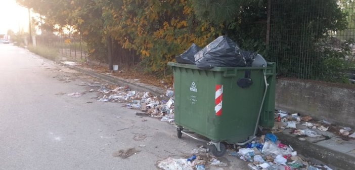 «Μαθαίνουν» στην ανακύκλωση οι Αγρινιώτες – Περισσότερα χρήματα στο Δήμο