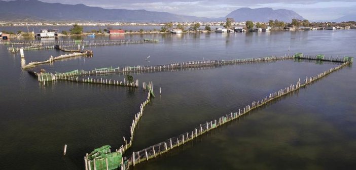 Μεσολόγγι : Η Λαϊκή Συσπείρωση ζητά μέτρα για το υδρόθειο στην λιμνοθάλασσα