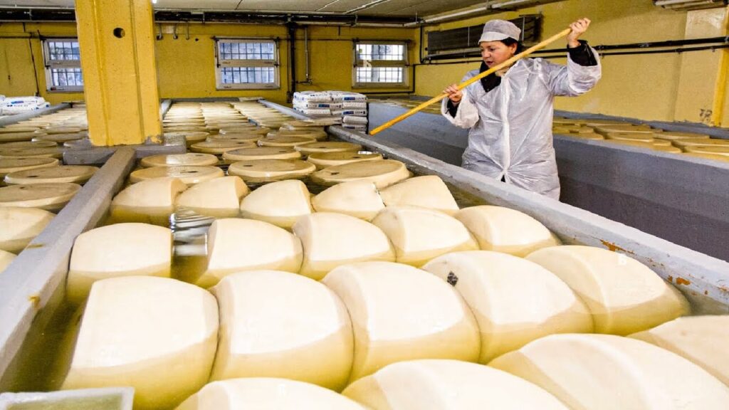 Θετικές επιδόσεις για την συνολική παραγωγή ιταλικού τυριού τον Ιανουάριο - Τυροκόμος