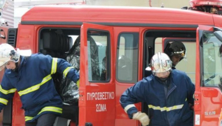 Παπαδάτες Μακρυνείας: Άναψε φωτιά συνελήφθη και "άρπαξε" πρόστιμο