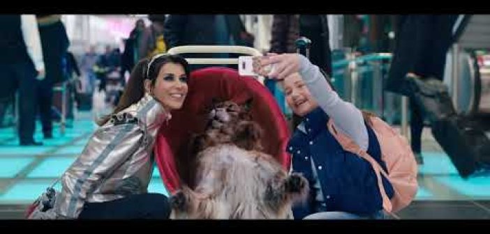«Σκύλος και γάτα: Μια τρελή καταδίωξη»: Η οικογενειακή ταινία του Σαββατοκύριακου στο σινεμά του Αγρινίου